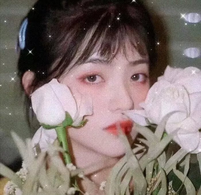 稚情